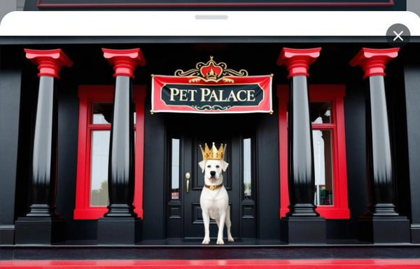 pet pallace